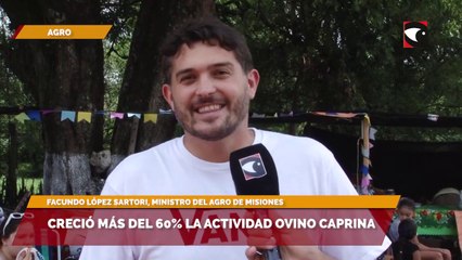 Creció más del 60% la actividad ovino caprina