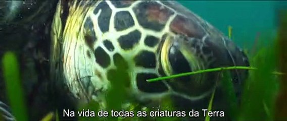 Universo Misterioso - Temporada 1 - Trailer Legendado Netflix