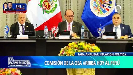 Misión de la OEA: vocero de delegación llega a Lima y dice “Vamos a reunirnos con todos”