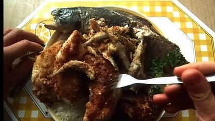 La Vie en Plus Bande-annonce (EN)