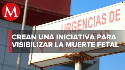 Ley Brazos Vacíos, la iniciativa para proteger derechos de mujeres que vivieron muerte fetal