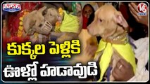 Haryana Couple Conducts Hindu Wedding Rituals For Two Pet Dogs | V6 Weekend Teenmaar