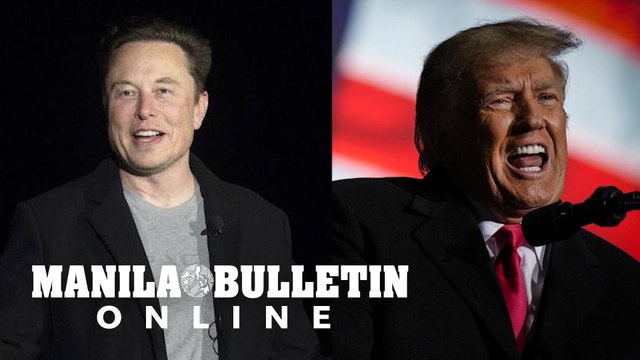 All eyes on Trump’s Twitter account after Musk reinstates him