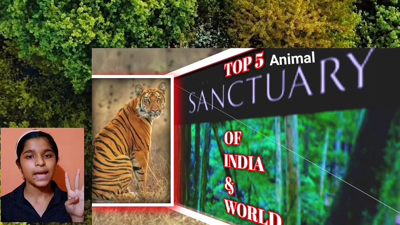 Top 5 WildLife Sanctuaries In India & World-Most Famous Wildlife Sanctuaries In _HD