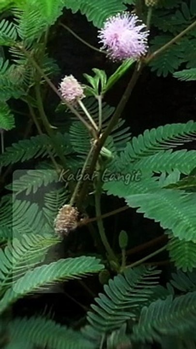 The Greatness Of A Person Is Not Measured By His Strength