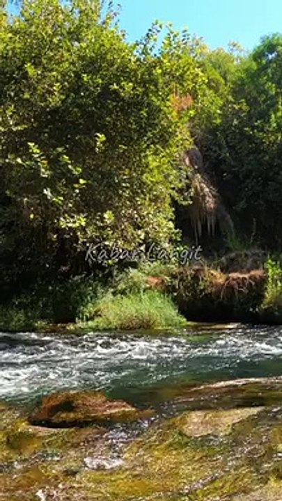 People Don't Need To Know Your Privileges