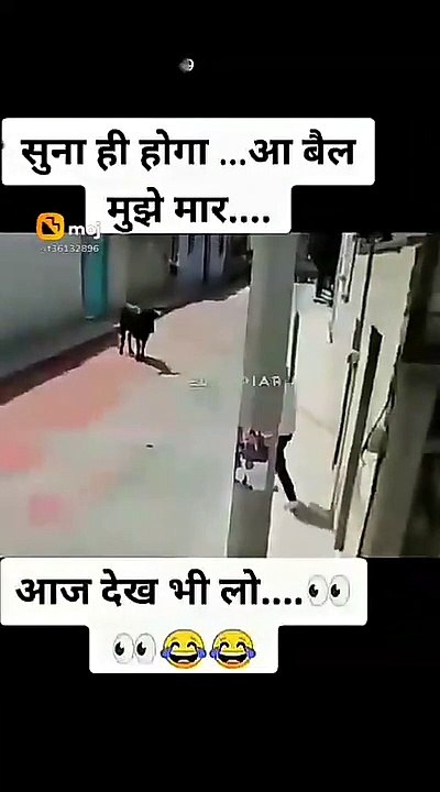 #a bail mujhe maar bahut bar Suna hoga aapane Aaj dekh bhi do