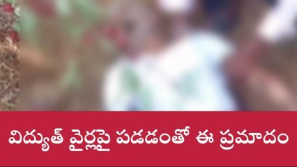 స్టేషన్ ఘనపూర్: చెట్ల కొమ్మలు నరుకుతుండగా విద్యుదాఘాతం.. రైతు మృతి