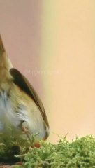 SUKSES ADALAH YANG KITA SUKA BUKAN TINGKATAN