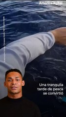 Sujeto vivió angustiante momento con un tiburón en medio de una tarde de pesca