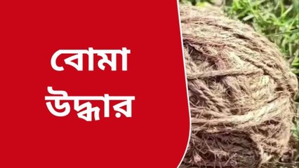 হুগলি: স্কুলের মাঠে তাজা বোমা, চাঞ্চল্য এলাকায়