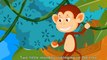 Five little Monkeys Swinging On  A Tree - Nursery Rhyme - Kids Song