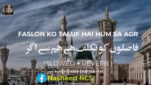 Faslon ko Takalluf Hai humse Agar (Slow Reverb) by Qari Waheed Zafar | Naat Sharif