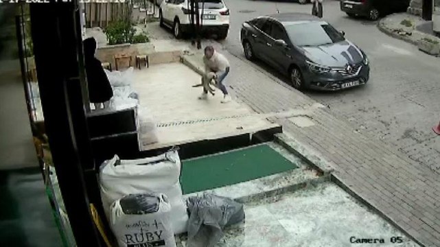 3. kattan düşen kediyi havada yakaladı