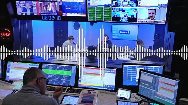 «J'espère qu'on pourra cohabiter» : le loup de retour en Bretagne, les agriculteurs inquiets