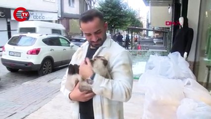 Güngören'de 3. kattan düşen kediyi havada yakaladı