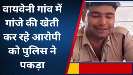 अशोकनगर: वायवेनी गांव में गांजे की खेती कर रहे व्यक्ति को पुलिस ने किया गिरफ्तार 26 पौधे किए जप्त