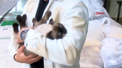 Üçüncü kattan düşen kız kardeşinin kedisini havada yakaladı