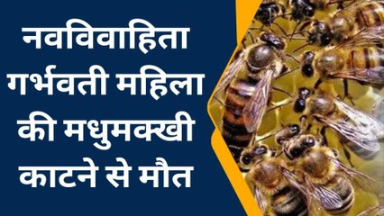 छिंदवाडा : मधु मक्खियों ने प्रसूता महिला पर बोला हमला, हुई मौत
