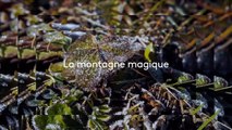 Voyage au cœur des Alpes - 21 novembre