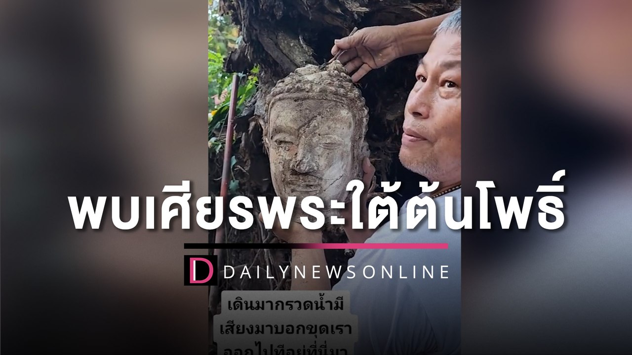 พบเศียรพระใต้ต้นโพธิ์วัดกรุงเก่า300ปี เชื่อดลใจให้ขุด | HOTSHOT เดลินิวส์ 21/11/65
