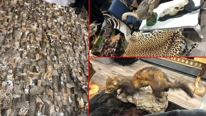 İstanbul’da post ve tahnit operasyonu