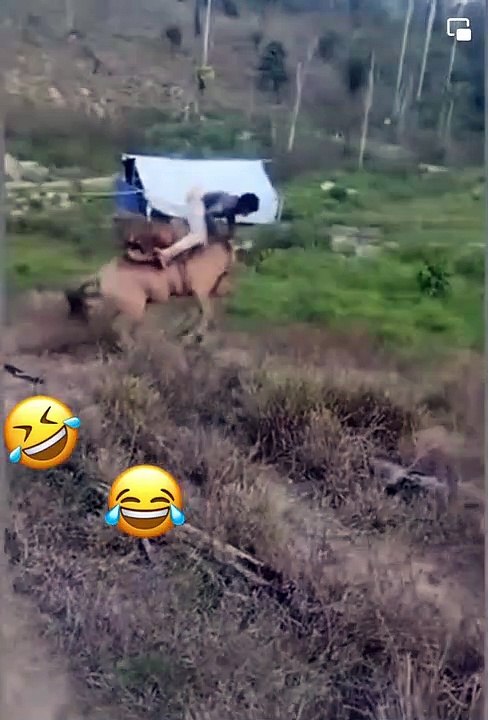 Funny Video