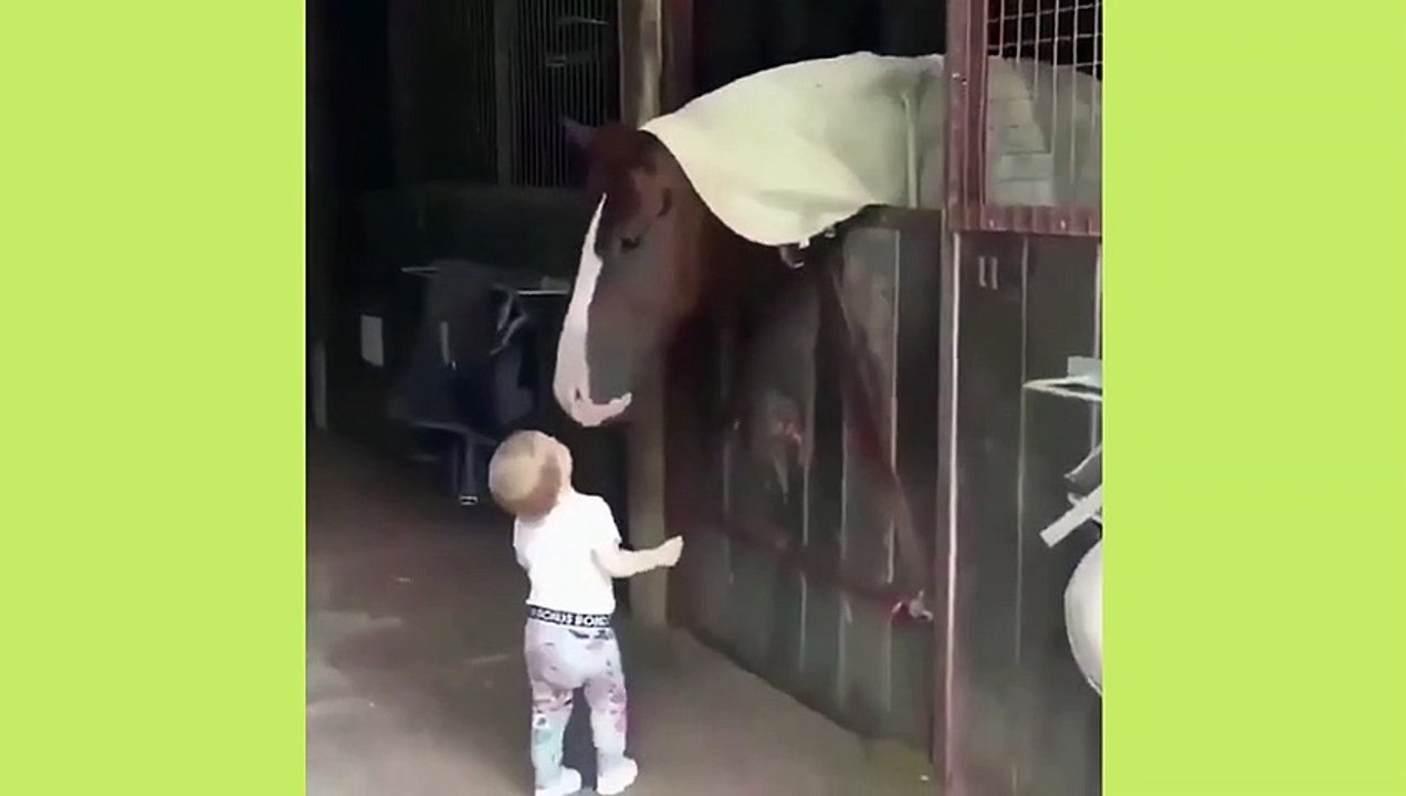 Funniest Babies Movie 8
