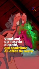 Boire de la bière, ça pollue ?