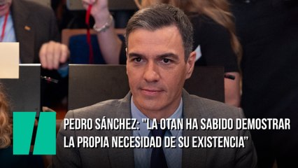 Pedro Sánchez: "La OTAN ha sabido demostrar la propia necesidad de su existencia"
