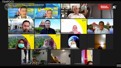 Universitas Indonesia Mulai Mengembangkan Empat Vaksin COVID-19