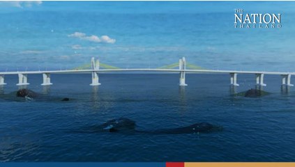 New bridge project across Songkhla Lake a threat to survival of endangered Irrawaddy dolphins | The Nation