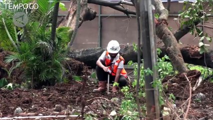 Terowongan Silaturahmi Istiqlal - Katedral, Simbol Toleransi Antar Umat Beragama
