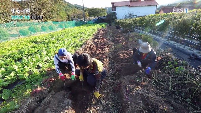 한국기행 - Korea travel_강원도의 가을 1부- 심심산골, 이 맛에 사네_#002