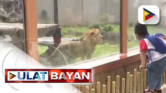Bagong bihis at may bagong pangalan na Manila Zoo, bukas nang muli sa publiko