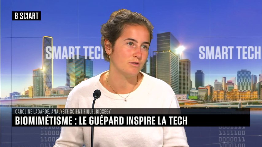 Biomimétisme : le guépard inspire la tech