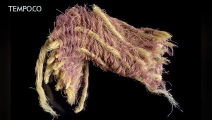 Arkeolog Israel Temukan Pewarna Ungu Era Kerajaan Nabi Daud, Ini Penampakannya