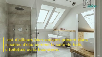 Poissons d'argent : comment se débarrasser naturellement de cet insecte nuisible