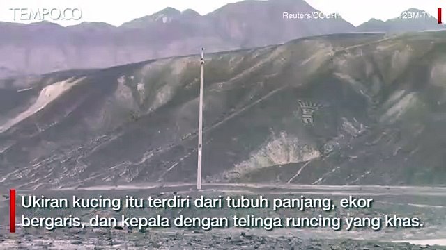 Arkeolog Temukan Ukiran Kucing Raksasa Berusia 2.000 Tahun di Peru