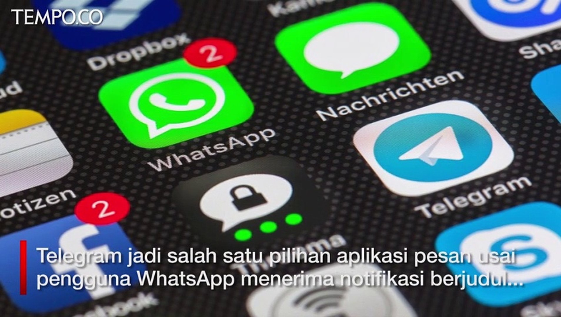 Kebijakan WhatsApp Bikin Pengguna Telegram Melonjak