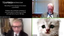 Momen Lucu Sidang Virtual, Pengacara Tak Sengaja Pakai Filter Zoom Anak Kucing