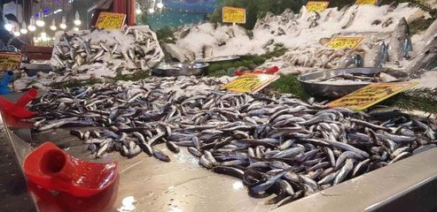 Hamsi 40 liradan tezgahlardaki yerini aldı