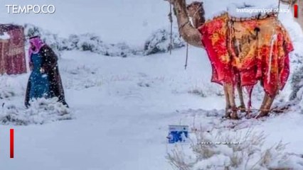 Cuaca Dingin dan Salju Selimuti Gurun Sahara dan Arab Saudi