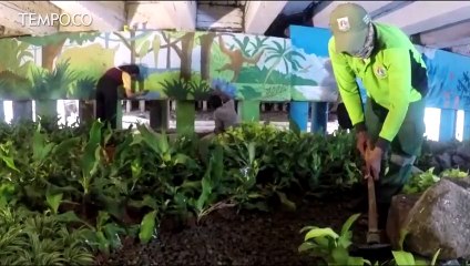 Sempat Dikunjungi Risma, Kolong Jembatan Pegangsaan Kini Dihiasi Mural