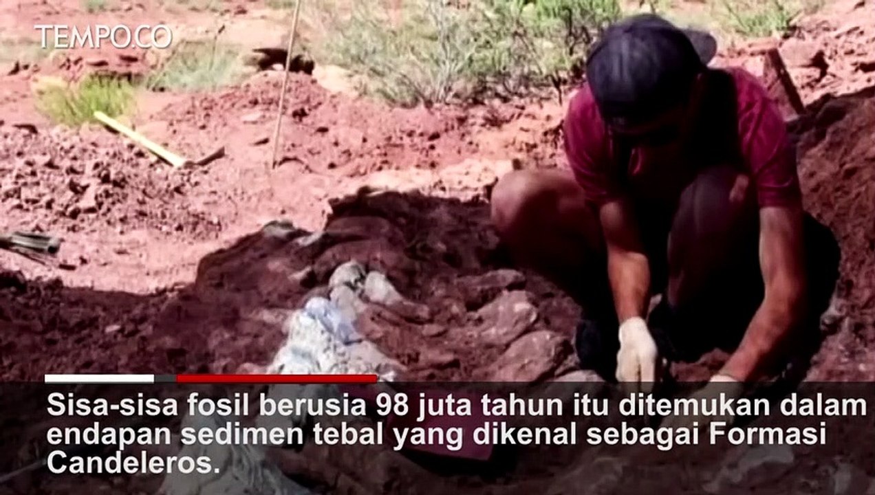 Ini Fosil Dinosaurus Terbesar di Dunia, Berumur 98 Juta Tahun, Ditemukan di Argentina