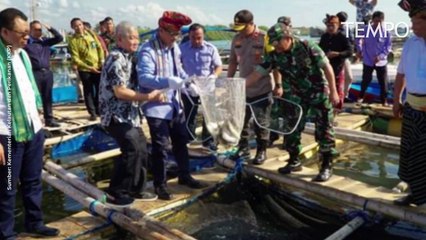 Pengakuan Penyelundup Benur Setelah Penangkapan Edhy Prabowo