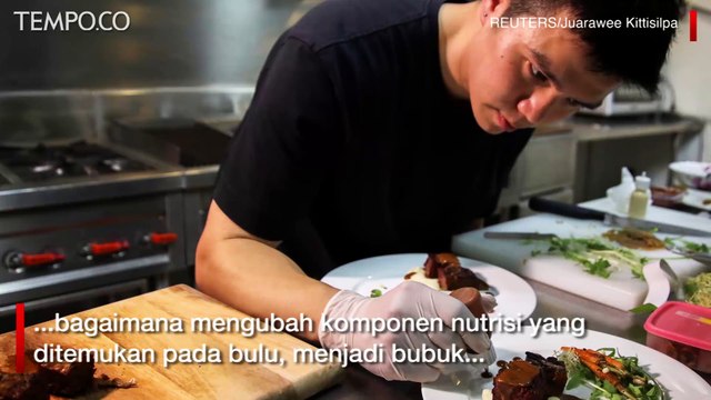Peneliti Thailand Ini Kembangkan Makanan dari Bulu Ayam