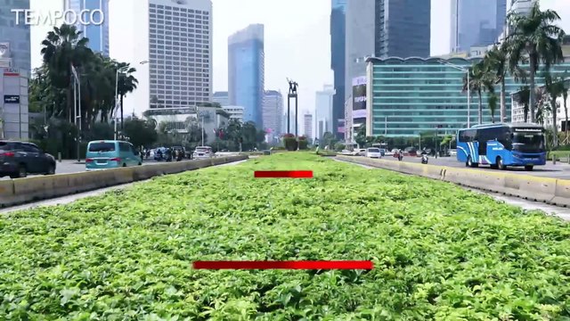 WiFi Gratis Transjakarta, Dishub DKI Khawatir Warga Berkerumun di JPO