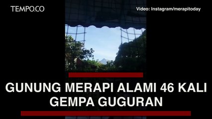 Kondisi Terkini Gunung Merapi, Alami 46 Kali Gempa Guguran