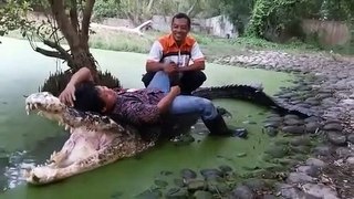 incredible, this person is lying on top of a crocodile